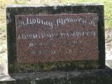 image of grave number 916099